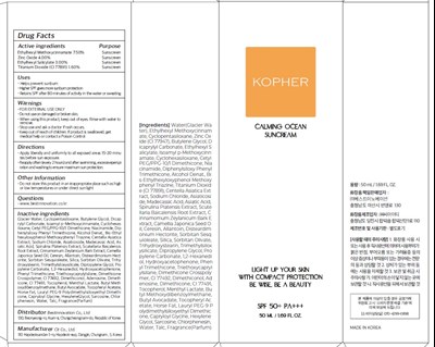 Image Of Carton (Kopher Carton)